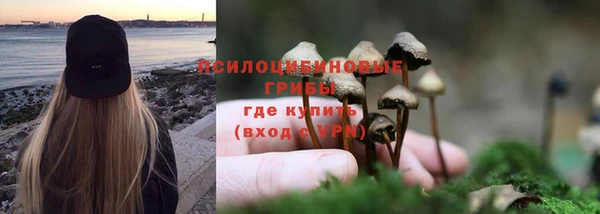 метадон Армянск