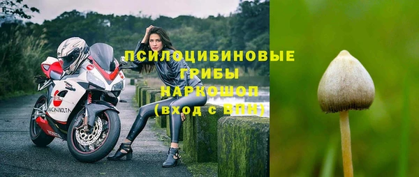 метадон Армянск