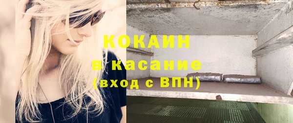 гашик Аркадак