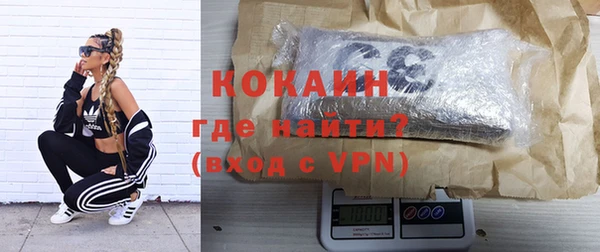 гашик Аркадак