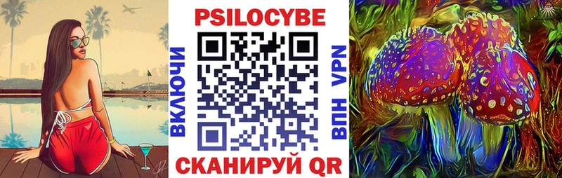 Галлюциногенные грибы Psilocybe  наркотики  Уржум 